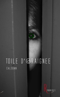 calouan-toile_d_araignee